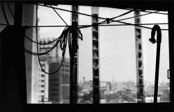 secretcinema1:Tokyo, 1965, Daido Moriyama