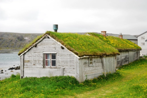 solarpunknetwork:solarpunk and green roofsgrass roofs have been employed for centuries in northern e