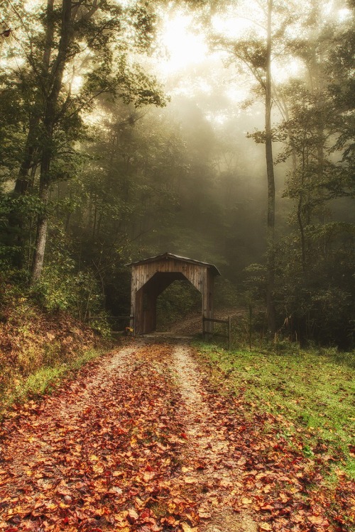 spgent:  Blue Ridge Mountains, North Carolina ↝ Todd Wall 