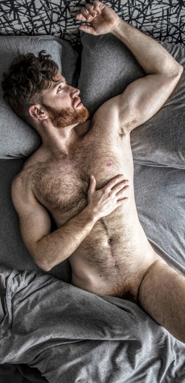 hairyinc:gemandscout:HAIRY INC. | https://hairyinc.tumblr.com | @hairyinc | Twitter | https://twitter.com/hairyinc  BEAU POILU ET SON PUBIS !