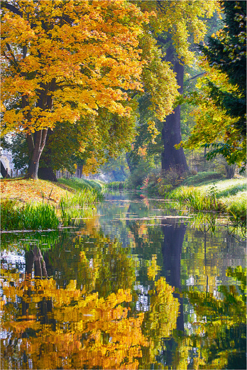 magicalnaturetour: shrill-coloured by Naturfotografie Hinsche