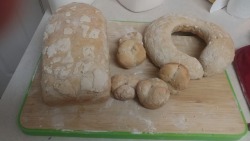 I made bread successfully after one previous attempt. It looks funny because those spots had started to cook while the dough was rising in the oven. But it&rsquo;s delicious. You don&rsquo;t realize how much sugar bread has until you make your own.