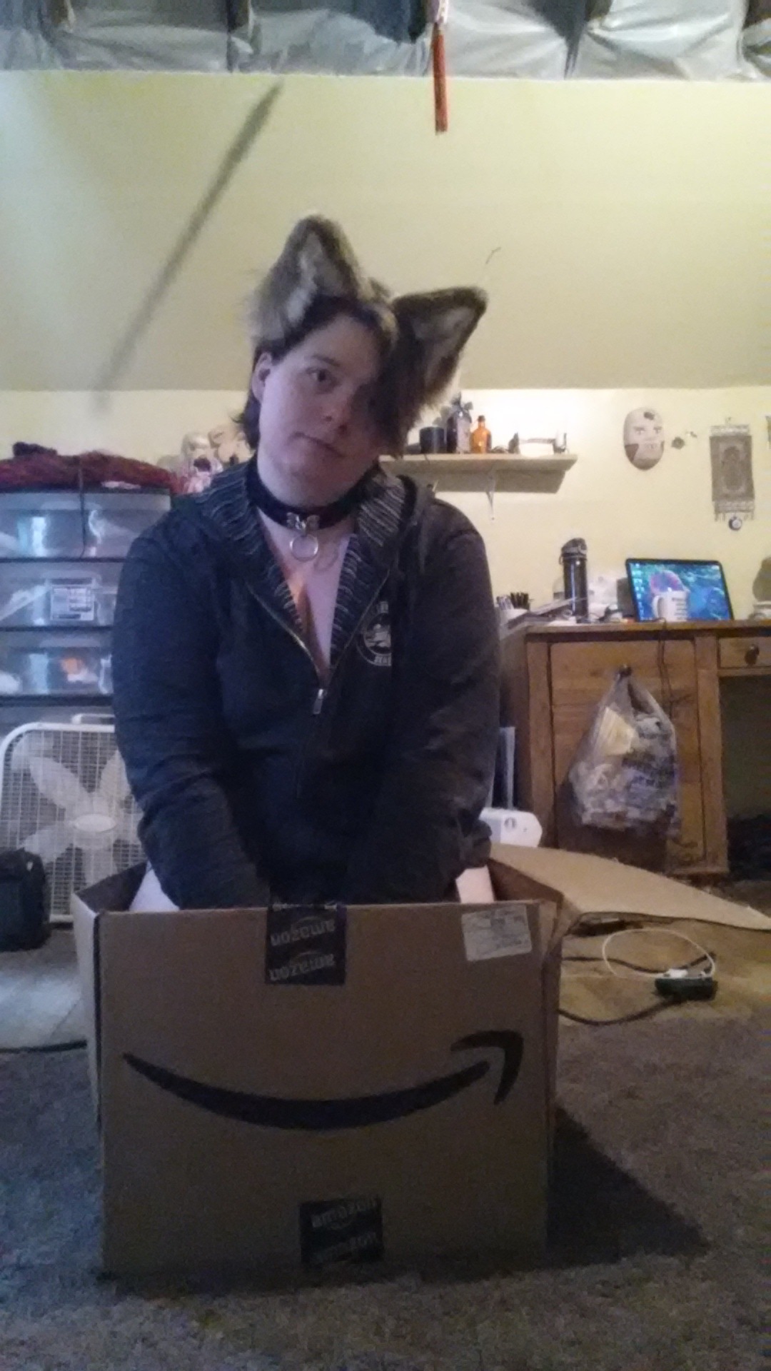 cura-wolf:I has a box! *wags and sits* it’s a large comfy box! Wolfy likes boxes