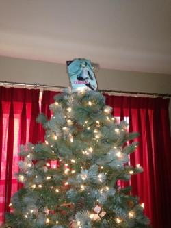 hatsooney:  I put a real star at the top of the Christmas tree  