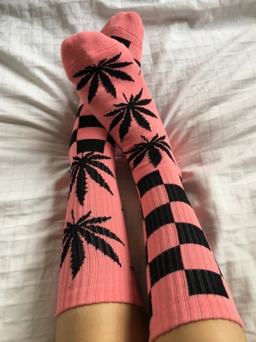 spliffbby: My new HUF socks came and I’m in love