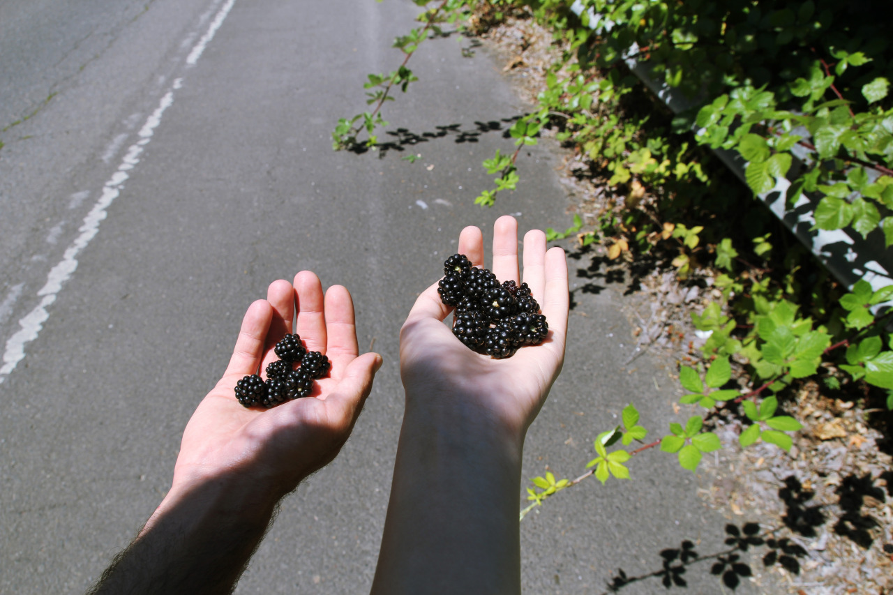 dayzea:  hands, summer travels, and lovely beings 1. late June, when we first got