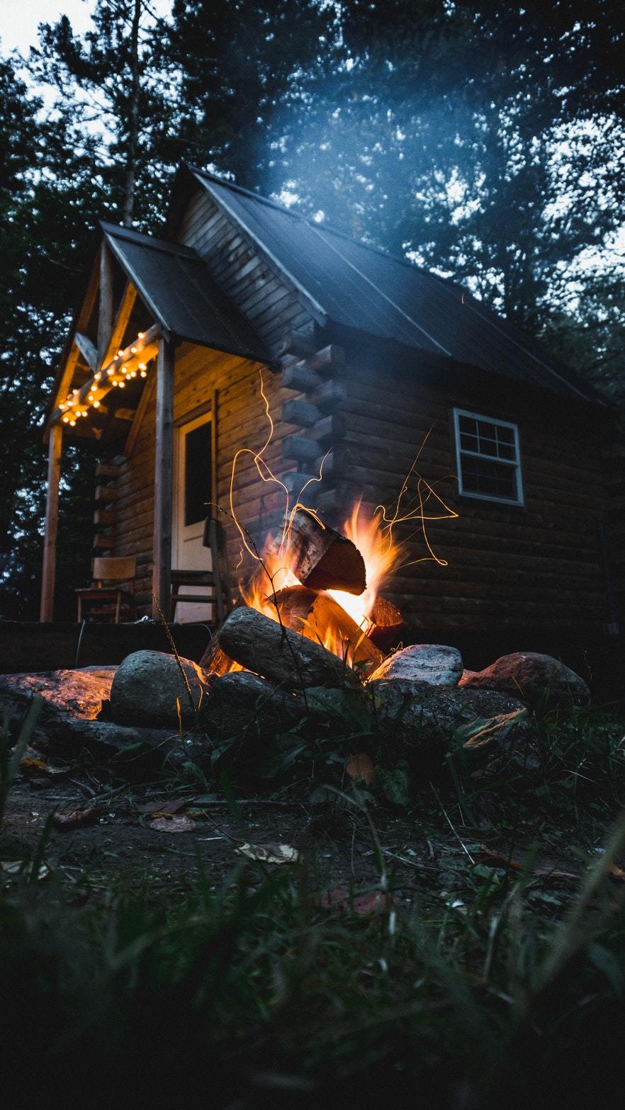 My adventure through the forest