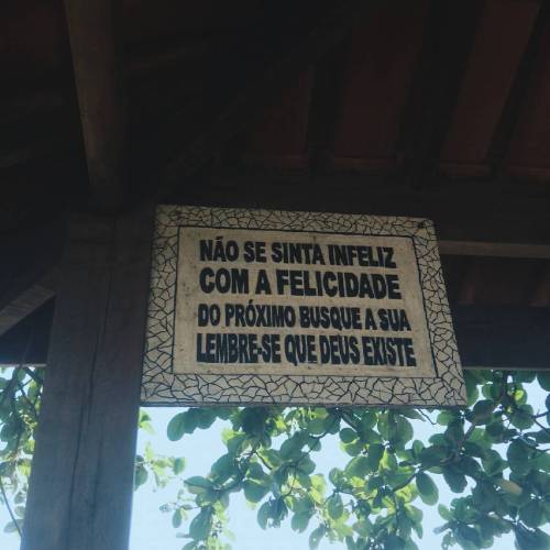 Ah, bruta flor.