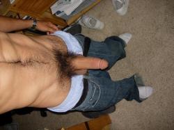 undie-fan-99:  Hairy, but hung. :D