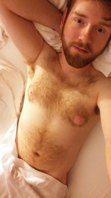 realhousewivesofhighgarden:  Hotel beds make