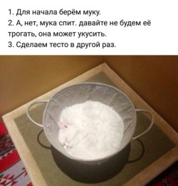 napoleonchingon: markv5: Как приготовить тесто “How to prepare the dough To begin with, take some flour Ah, no, the flour is sleeping. Let’s not bother her, she might bite We’ll prepare the dough some other time” 