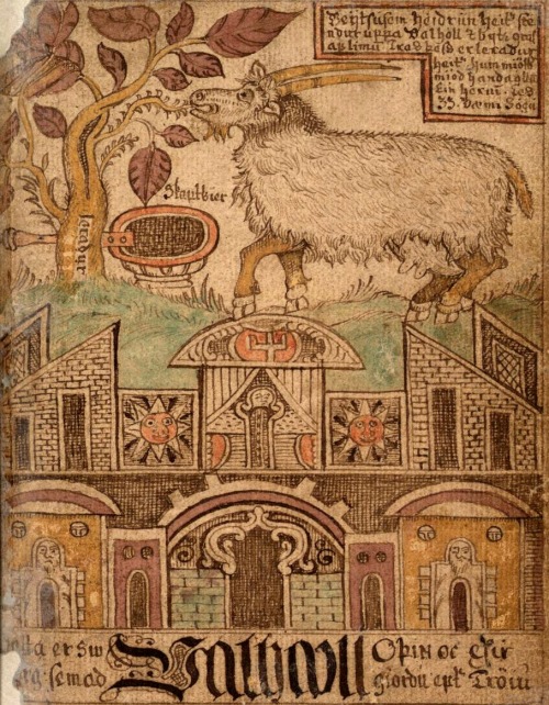 asatru-ingwaz: Heiðrún Heiðrún is a goat in Norse mythology, which consumes th