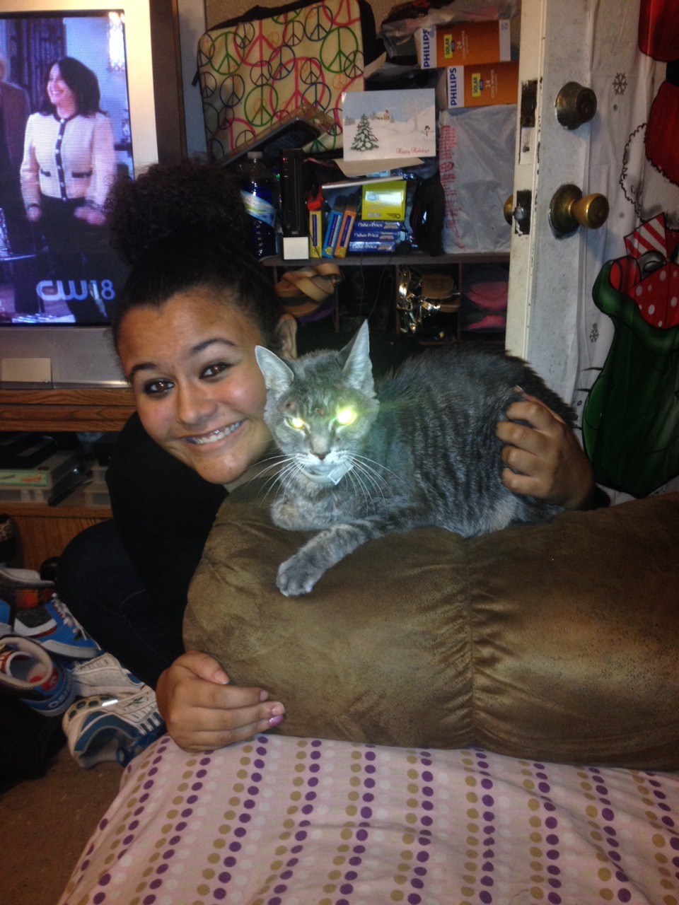 My cat is purrrrfect