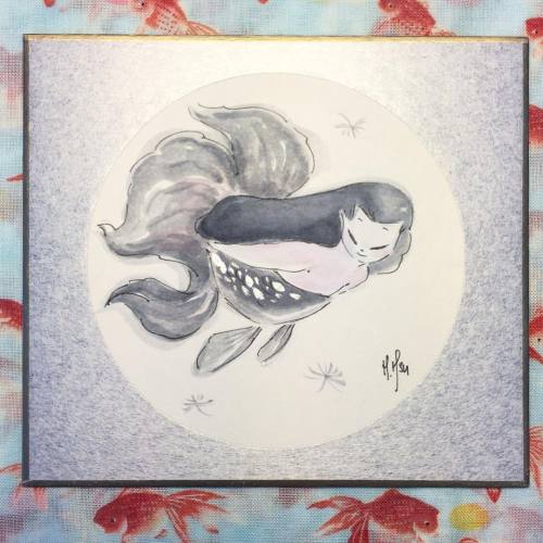 青文魚 / #Seibungyo . Studies of Goldfish 金魚 . Ink, watercolor, silver acrylic on shikishi from Japan .