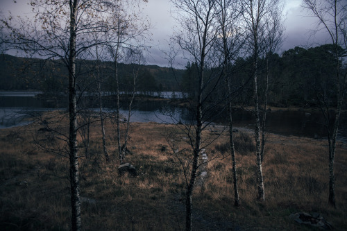 freddieardley: Time shift through a Scottish day Photographed by Freddie Ardley