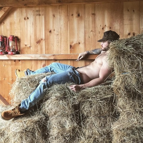 matthewcamp:ONLYFANS.COM/MATTHEWCAMP #farmstud #camping #haythere #loadup #gettyup #bareback #sidesa