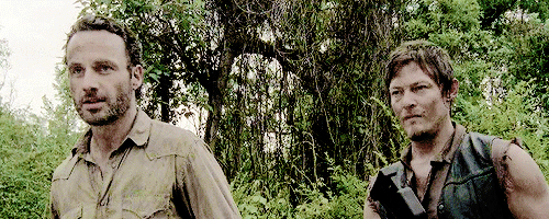 reedusgif:You wanna take Daryl as your wingman?