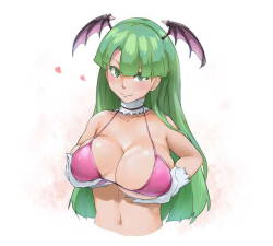 terasuccubi:  Morrigan Aensland by ばっかんきAs