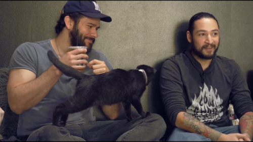 russian-twink-fan: Some cute boys and kitties.