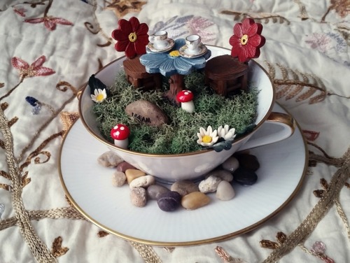 kesstiel: ~☆• A cute tea cup fairy garden my friend gifted to me! •☆~