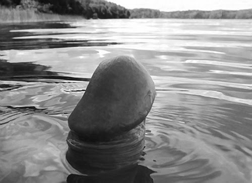 nemtaf:  lovchbs:  gulobear:  gruffibehr:  chubby dicks  Delicious!  Uff dicks  GOOD