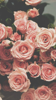 Imgfave:  Posted By Sol Quiroga