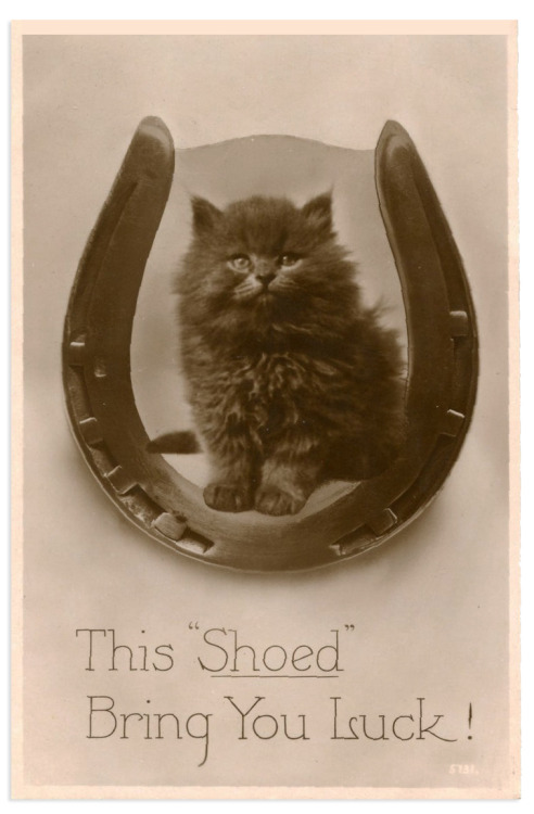 postcardtimemachine:This “Shoed” Bring You Luck!