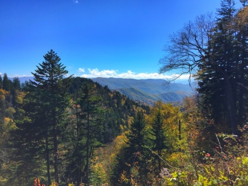 Great Smoky Mountains National Park - Tennessee - USA (by annajewelsphotography) Instagram: ann