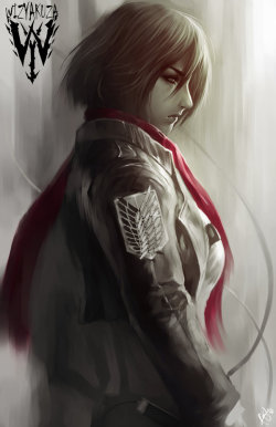 Mikasa by wizyakuza 