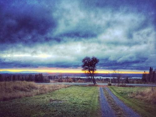 Natural beauty! #nature #sky #meadows #tree #clouds #relaxation #tranquility #norrland #jämtland #ös