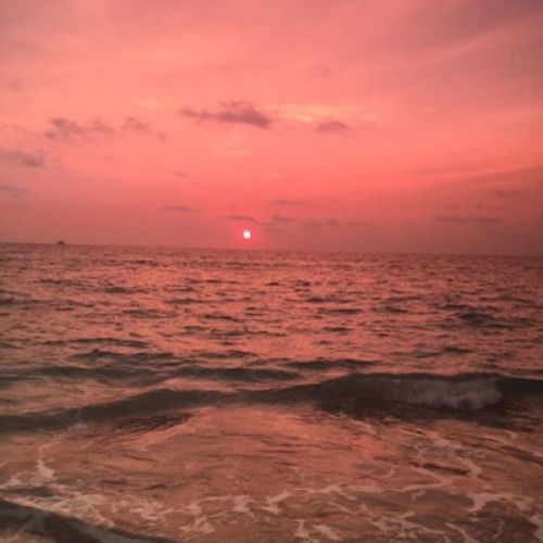 moonlightangel: pink skies are my favorite skies