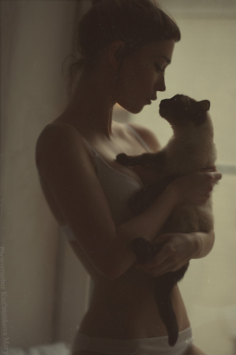 fufu0076:  Cats by Kuzmenkova 