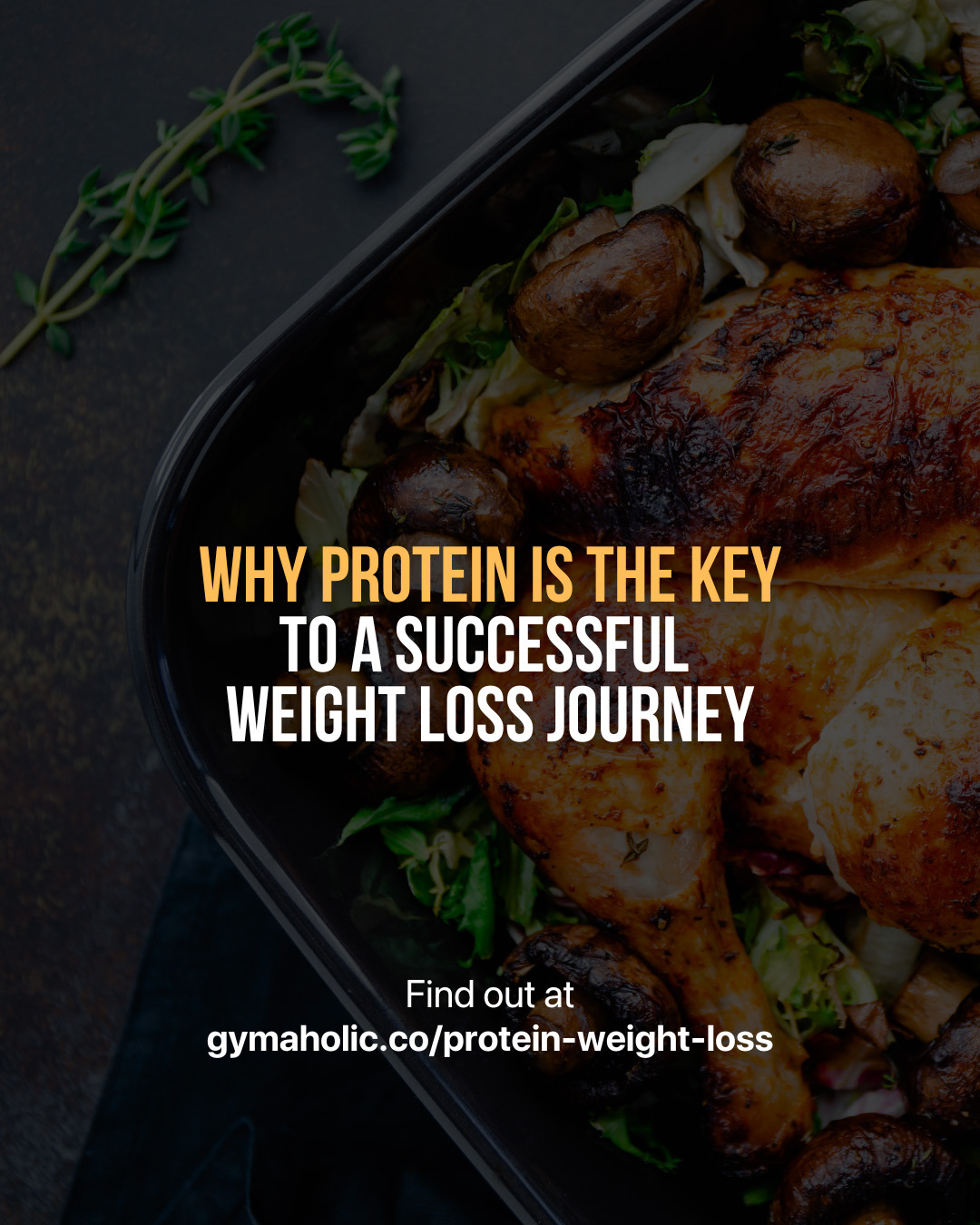 Why Protein Is the Key to A Successful Weight Loss Journey