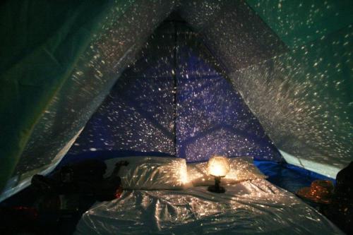 purpleyin:yourkingandqueen:dbvictoria:Incredible bedsI love the bed fandomI seriously want like a co