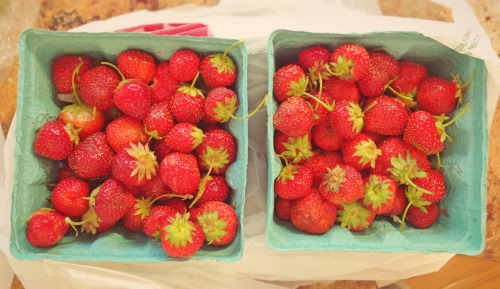 Went strawberry picking today :)