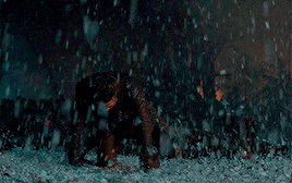 alexexklaus: thronesgifs challenge: [3/7] scenes: Arya kills The Night King (8x03)  The single best 