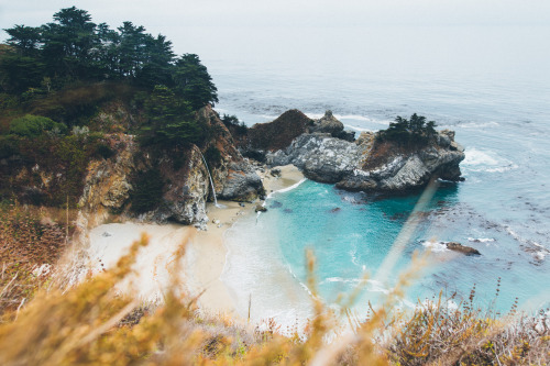 brianfulda:Spent the weekend camping in the redwoods and exploring the foggy coastline.Big Sur, CA. 