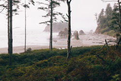 jaredatkinsphoto:  Ruby Beach,  Olympic