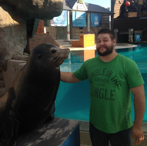 conikumanly:  Kevin Owens + Animals