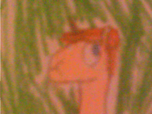 ((Dess is spinniest pony! you cannot prove otherwise!)) You spin me right round, baby!
