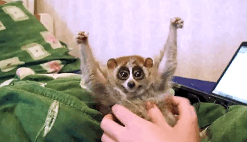 funnynhilariousgif:  More Funny and Hilarious Gifs >>