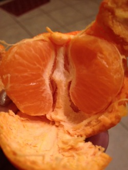 harryedward:  5secsoftroyler:  harryedward:  This is a weed smokers lungs after he died from marijuana. Don’t smoke weed please reblog to save a life  That’s an orange  Please dont be disrespectful thats a weed smoker’s lungs after he died from