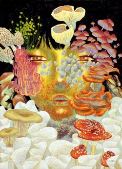victoriousvocabulary:  MYCOMANIA[noun]an obsession with fungi; obsession with mushrooms.Etymology: from Greek mykes, “fungus” + mania, “madness”.Fuco Ueda