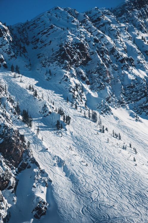 adm-kng:  Kicking Horse Trail, BC