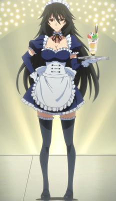 maidoftheday:Today’s Maid of the Day: Chifuyu Orimura from Infinite Stratos