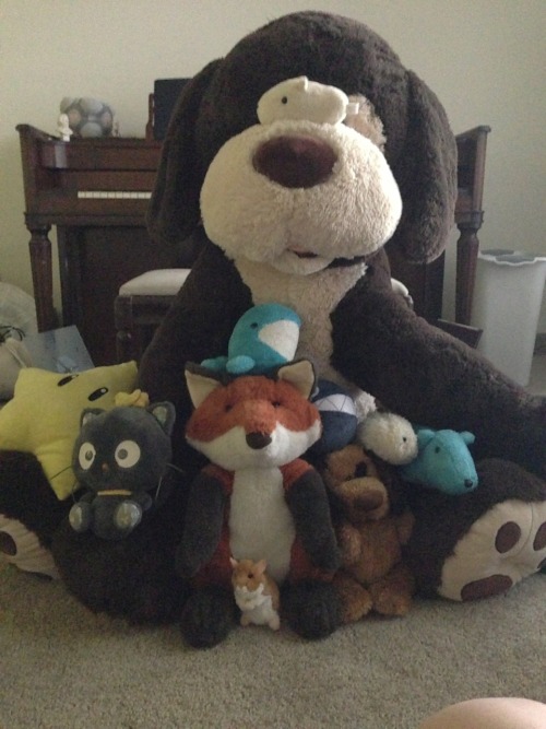 at what point do you legitimately have Too Many Plushies