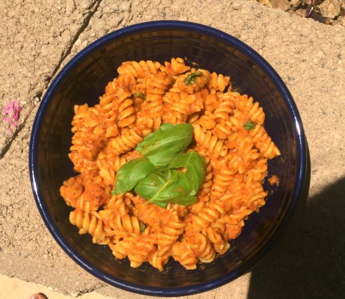 this is honestly the easiest, most delicious meal ever! all you have to do is boil some pasta. once 