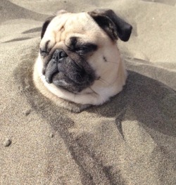 kytakes:  Me at the beach 