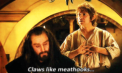 thorinds:“When the birds of yore return to Erebor, the reign of the beast will end.”