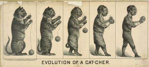 yesterdaysprint: Evolution of a cat-cher and a pitcher, 1889